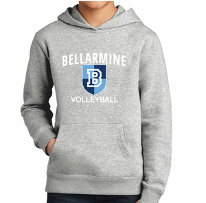 District V.I.T. Youth Sweatshirt - VOLLEYBALL