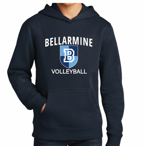 District V.I.T. Youth Sweatshirt - VOLLEYBALL